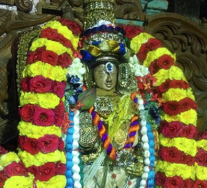 Mylai Adhikesava perumal temple pavithrotsavam day 4 2015