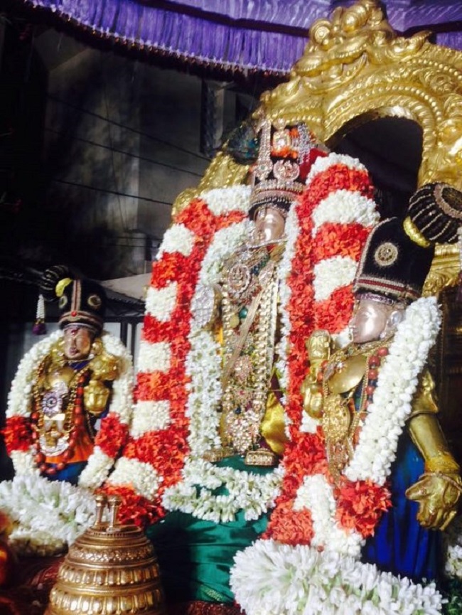 Mylapore SVDD Srinivasa Perumal Temple Manmadha Varusha Uriyadi Utsavam2