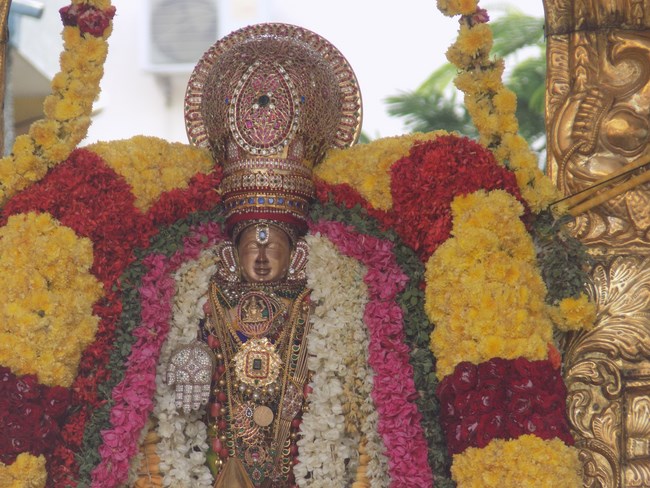 Mylapore SVDD Srinivasa Perumal Temple Swami Desikan Manmadha Varusha Thirunakshatra Utsavam8