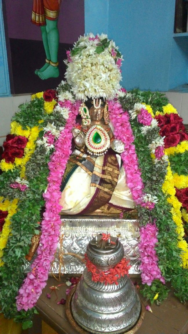 Nagai Swami desikan Thirunakshatra Utsavam day 3 2015 4