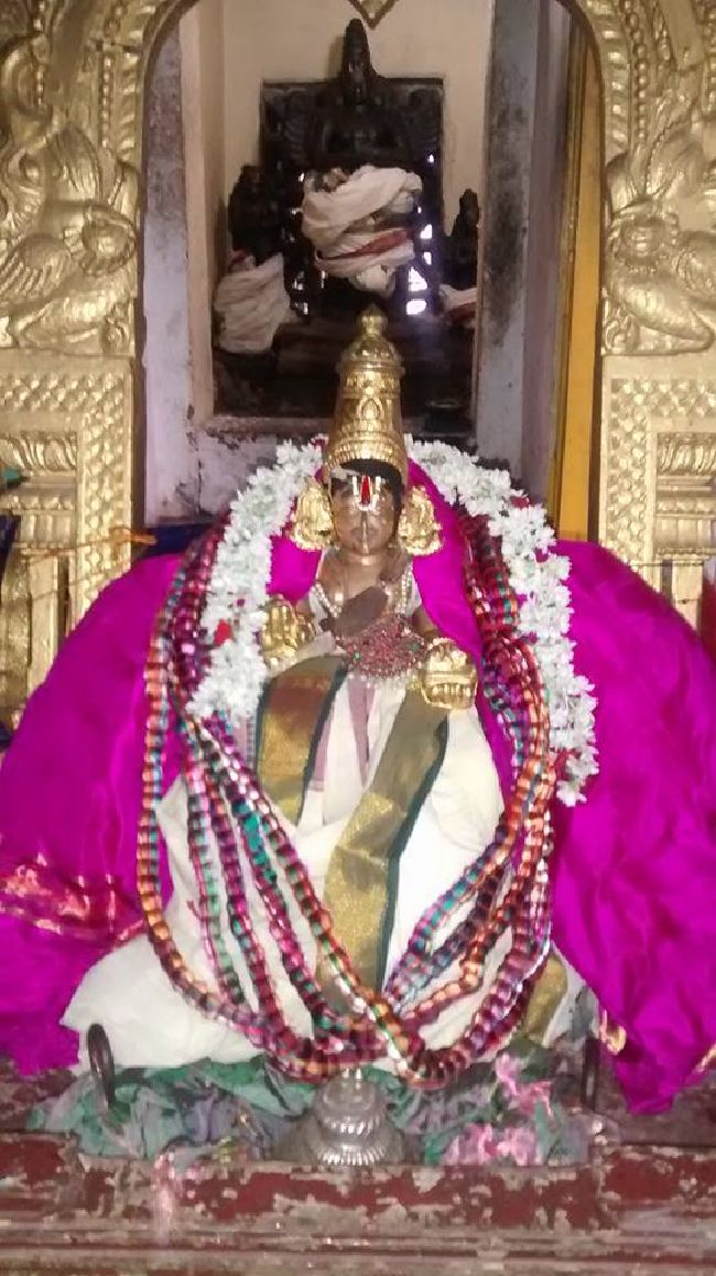 Navalpakkam Swami Desikan Thirunakshatra Utsavam day 5015 12