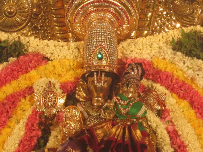 Pondicherry-Sri-Srinivasa-Perumal_01.jpg