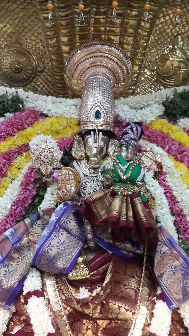 Pondicherry-Sri-Srinivasa-Perumal_08.jpg