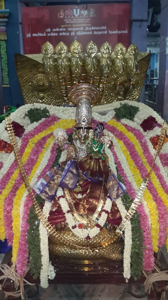 Pondicherry-Sri-Srinivasa-Perumal_11.jpg