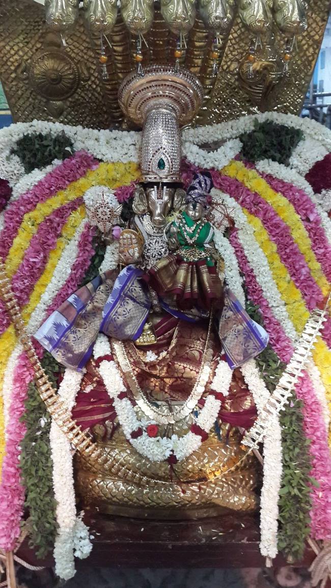 Pondicherry-Sri-Srinivasa-Perumal_14.jpg