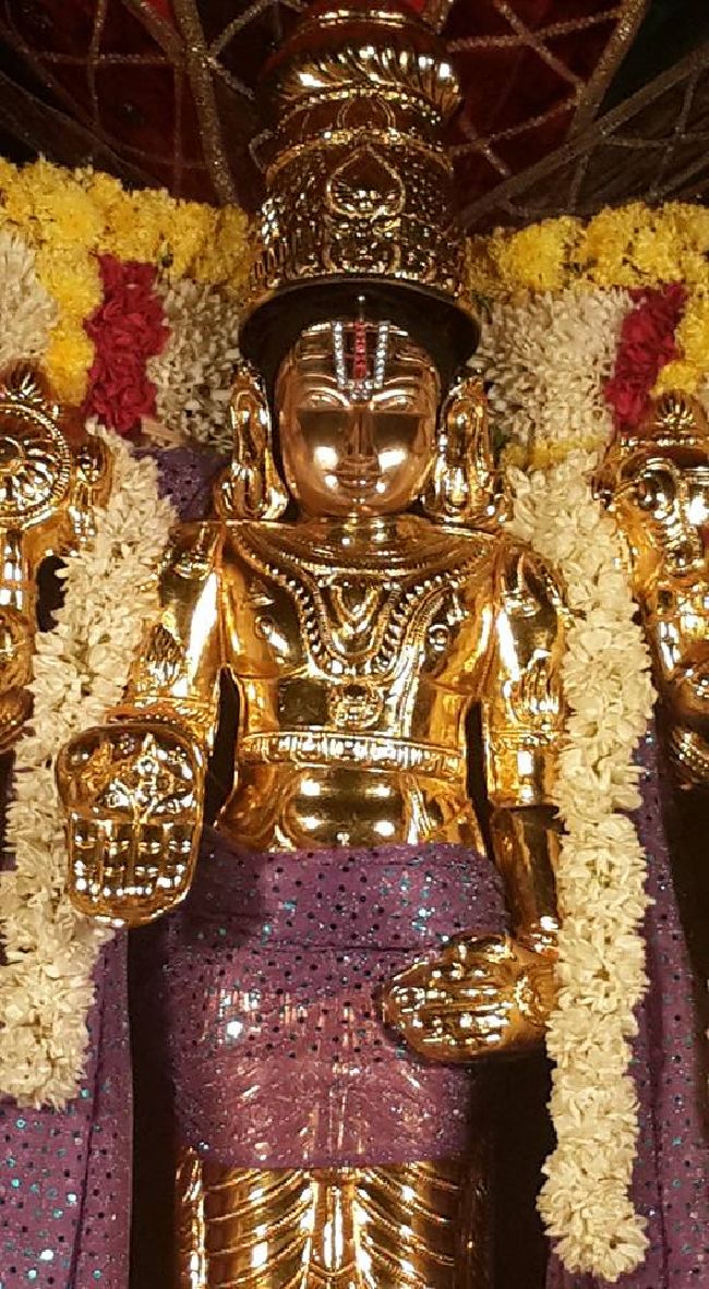 Pondy Srinivasa Perumal Temple Purattasi Sravanam 2015 05