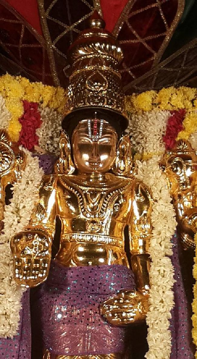 Pondy Srinivasa Perumal Temple Purattasi Sravanam 2015 13