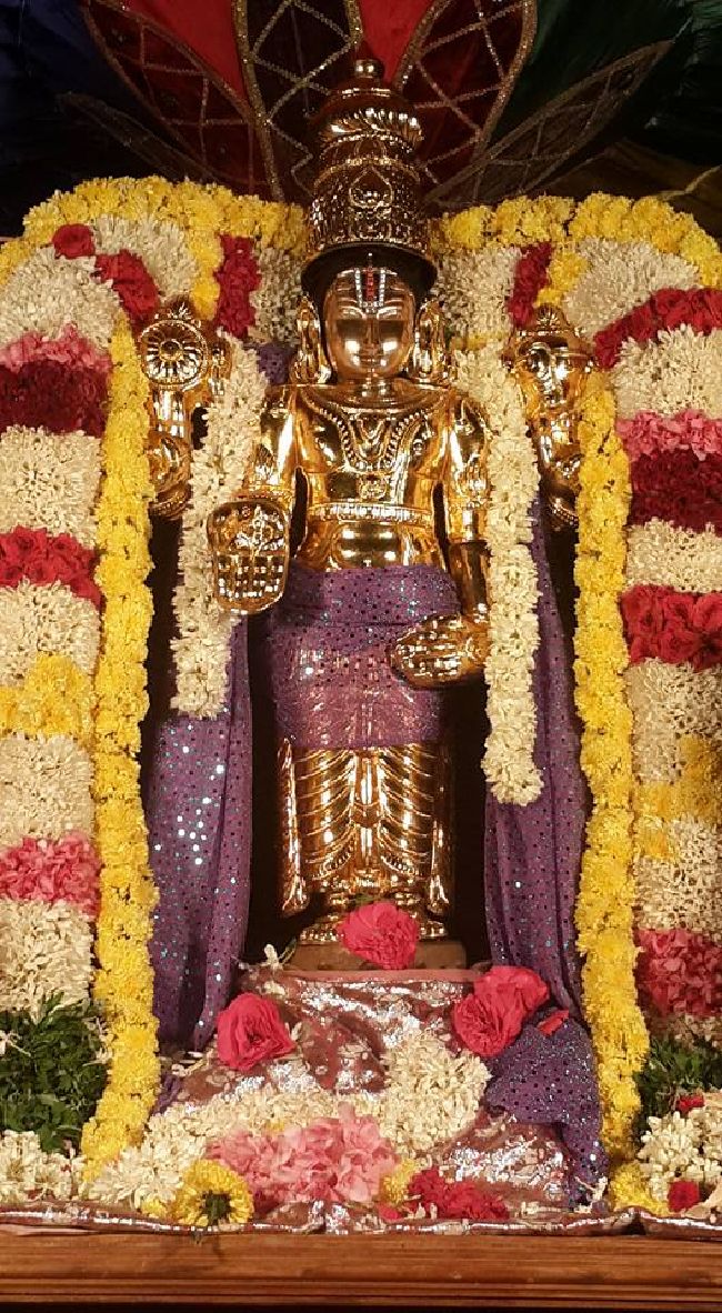 Pondy Srinivasa Perumal Temple Purattasi Sravanam 2015 14