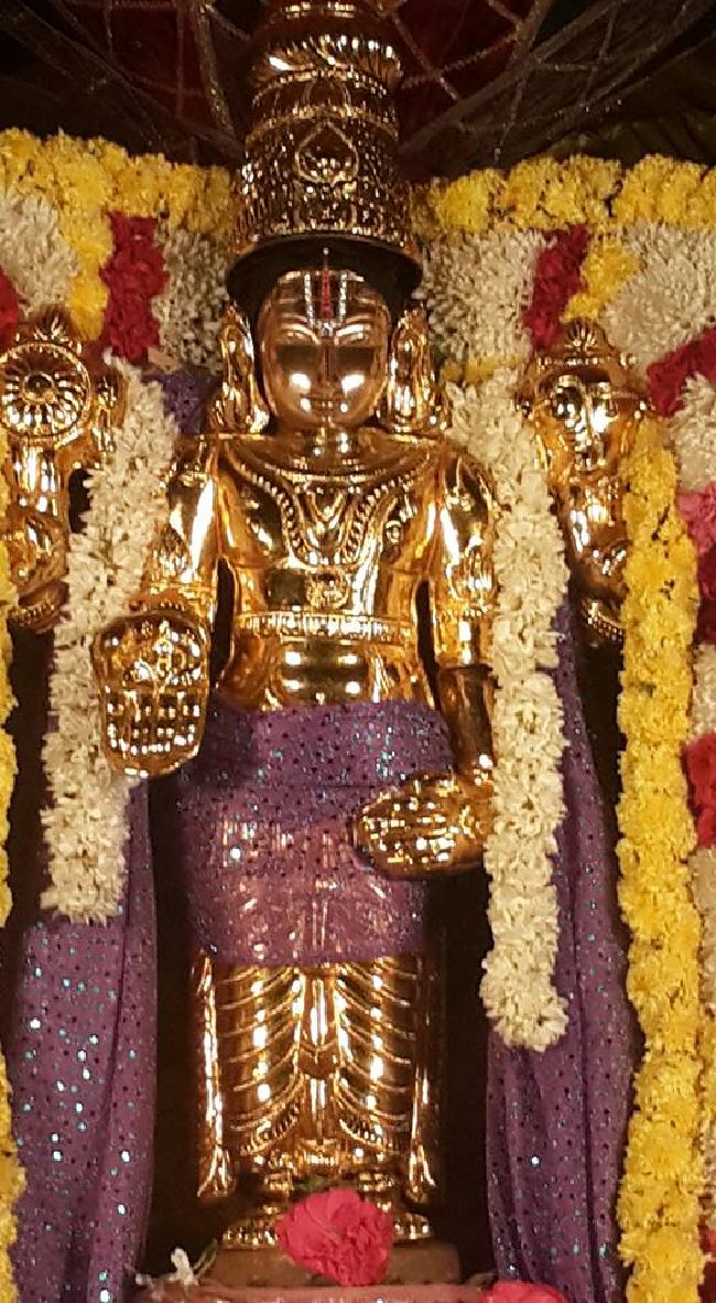 Pondy Srinivasa Perumal Temple Purattasi Sravanam 2015 15