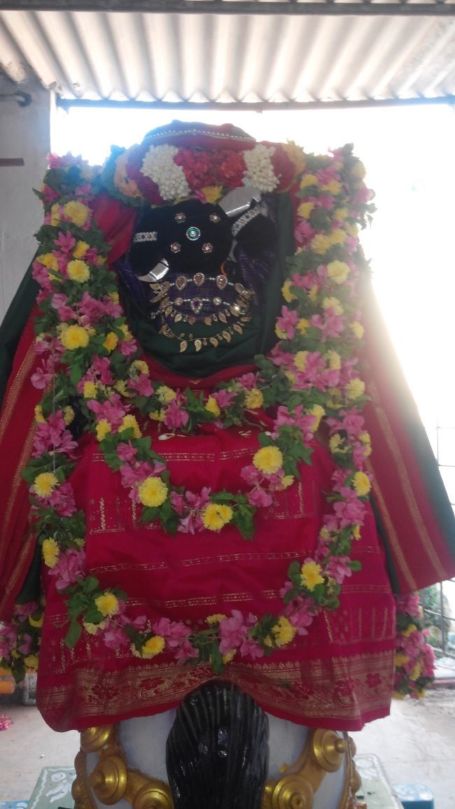 Pulikundram Sri Lakshmi Narayana Perumal Temple Sanikizhamai Purappadu  2015-05.jpg