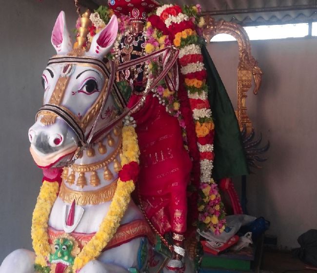 Pulikundram Sri Lakshmi Narayana Perumal Temple Sanikizhamai Purappadu  2015-07.jpg