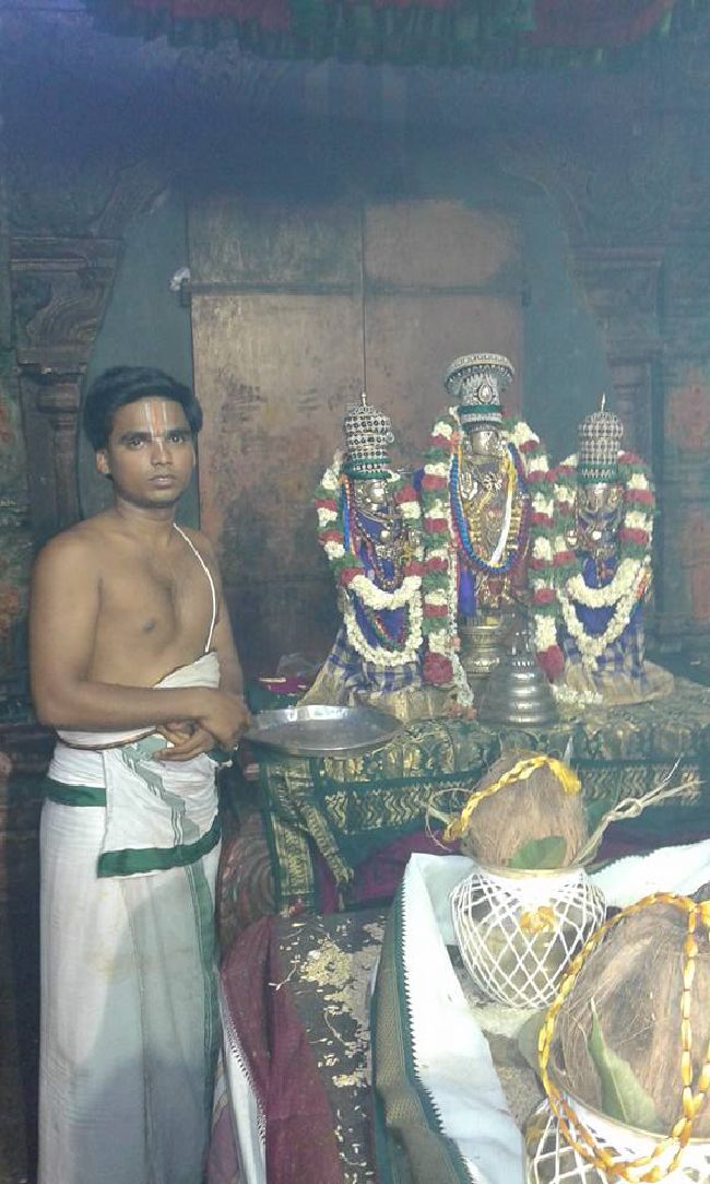 Sholingur sri lakshmi narasimhaswami temple pavithrotsavam day 3 2015 2