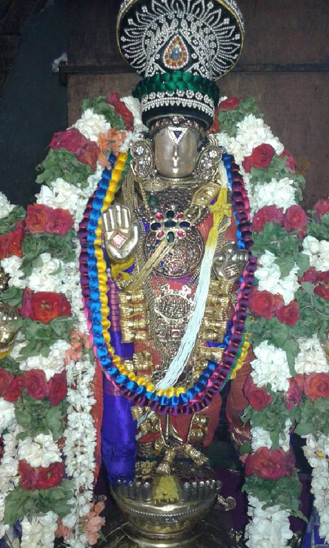 Sholingur sri lakshmi narasimhaswami temple pavithrotsavam day 3 2015 3