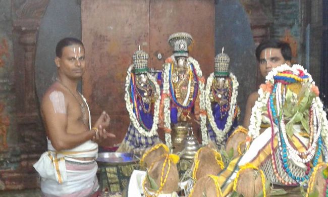 Sholingur sri lakshmi narasimhaswami temple pavithrotsavam day 3 2015 5
