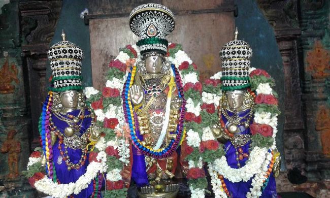 Sholingur sri lakshmi narasimhaswami temple pavithrotsavam day 3 2015 6