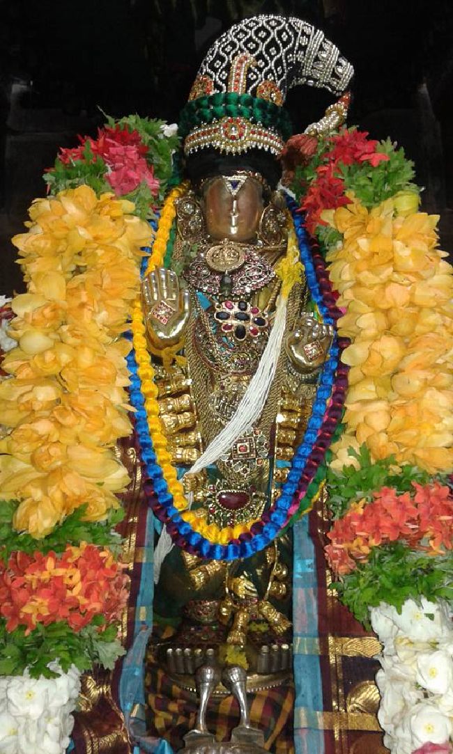 Sholingur sri lakshmi narasimhaswami temple pavithrotsavam day 4 2015 3