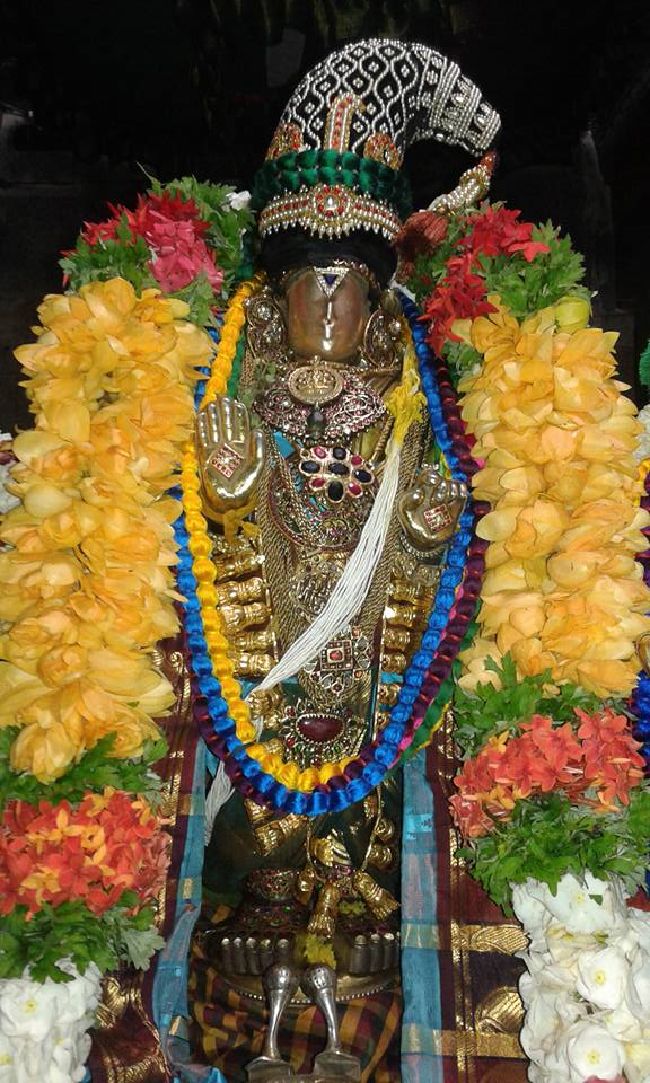 Sholingur sri lakshmi narasimhaswami temple pavithrotsavam day 4 2015 6