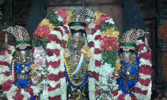 Sholingur sri lakshmi narasimhaswami temple pavithrotsavam day 4 2015 7