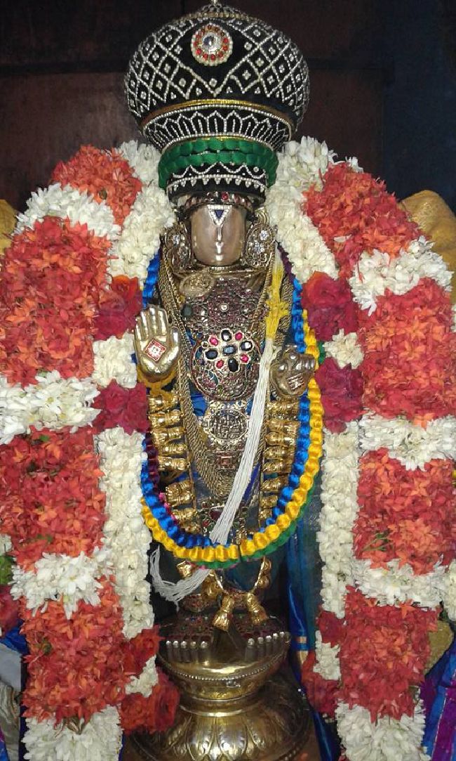 Sholingur sri lakshmi narasimhaswami temple pavithrotsavam day 5 2015 01