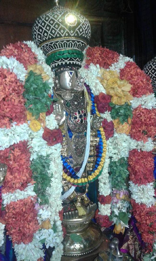 Sholingur sri lakshmi narasimhaswami temple pavithrotsavam day 5 2015 04
