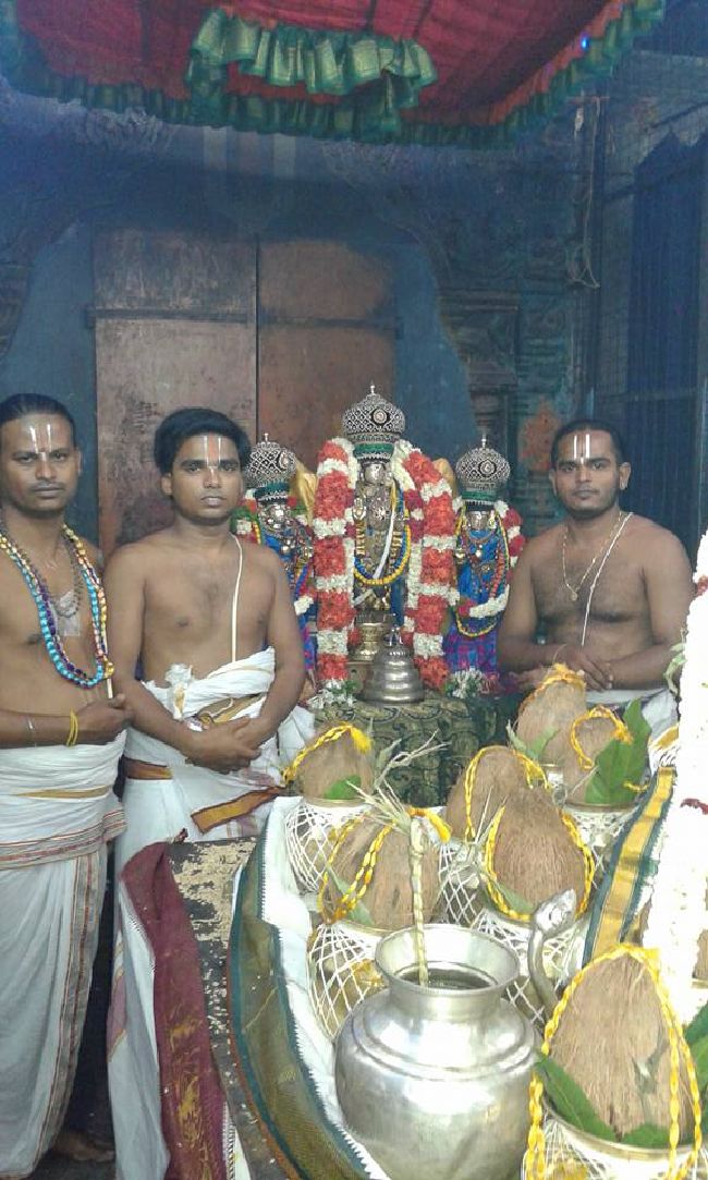 Sholingur sri lakshmi narasimhaswami temple pavithrotsavam day 5 2015 05