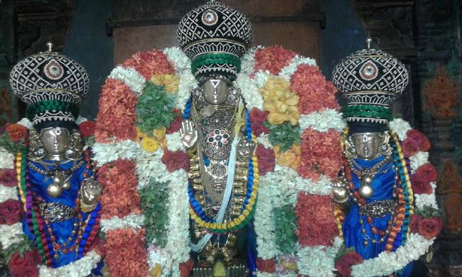 Sholingur sri lakshmi narasimhaswami temple pavithrotsavam day 5 2015 06