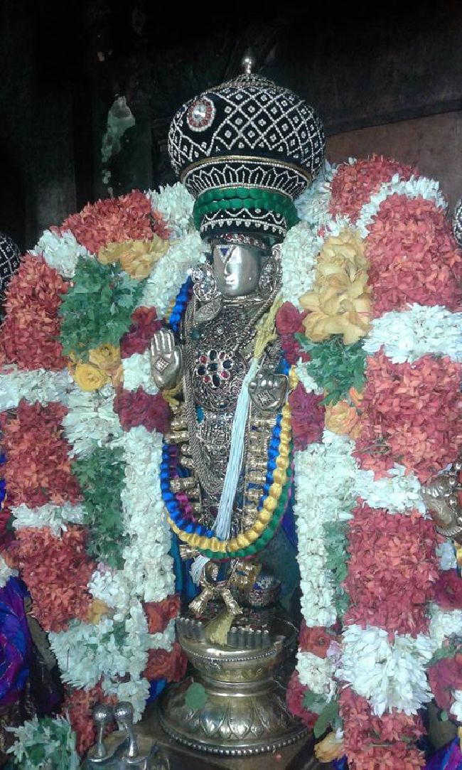 Sholingur sri lakshmi narasimhaswami temple pavithrotsavam day 5 2015 08