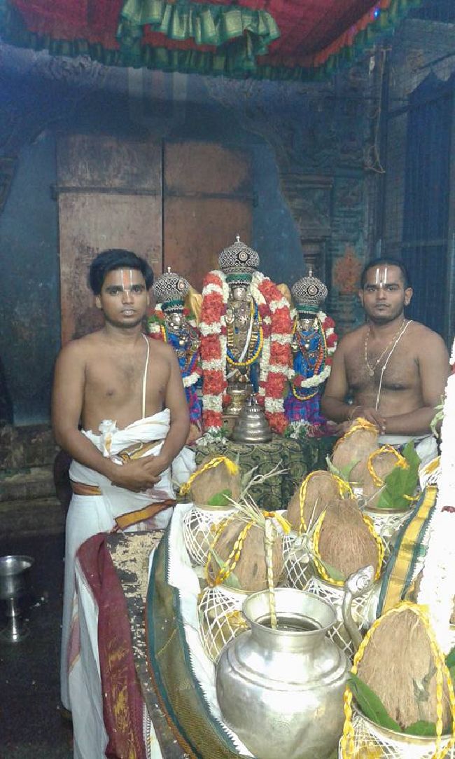 Sholingur sri lakshmi narasimhaswami temple pavithrotsavam day 5 2015 09