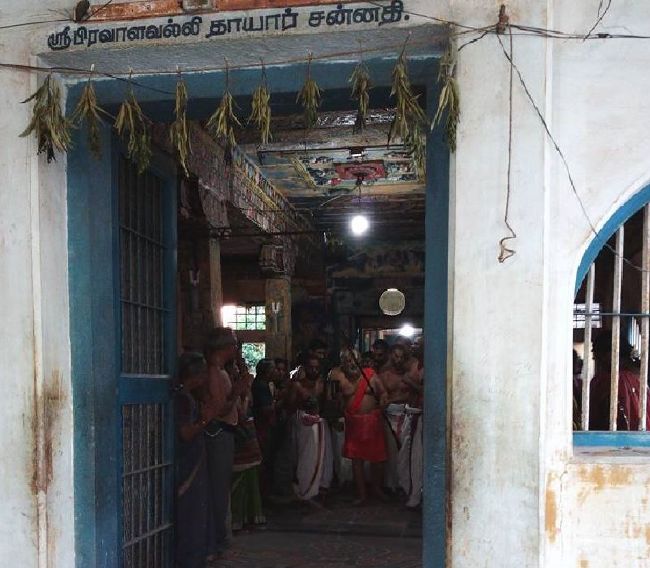 Sri Mushnam Andavan Mangalasasanam at Pachai Vannar and Pavazha Vannar Kovil Kanchi 2015 18