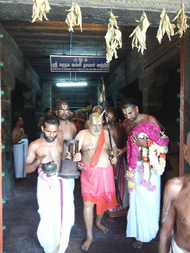 Srimushnam Andavan Mangalasasanam at Thoopul 2015 14