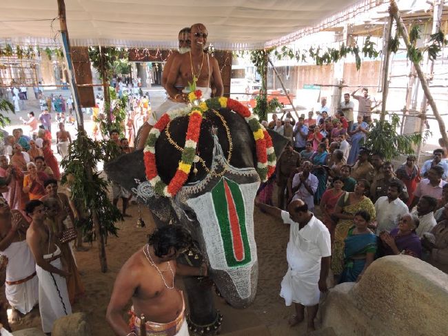 Srirangam 11 Gopurams and 43 Sannadhi Samprokshanam 2015 01