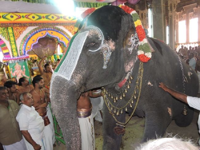 Srirangam 11 Gopurams and 43 Sannadhi Samprokshanam 2015 07