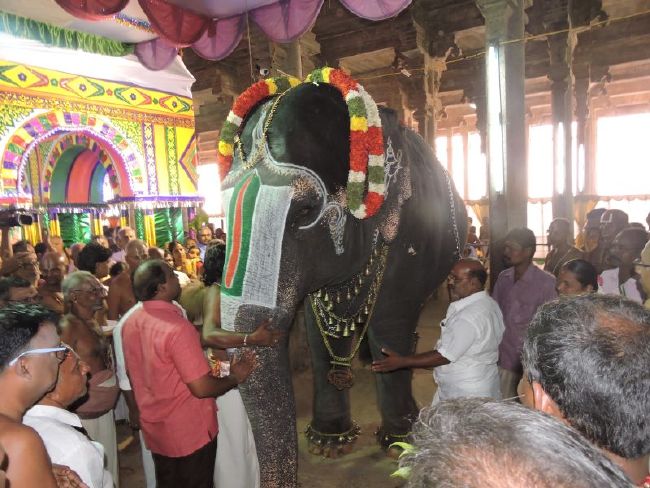 Srirangam 11 Gopurams and 43 Sannadhi Samprokshanam 2015 09