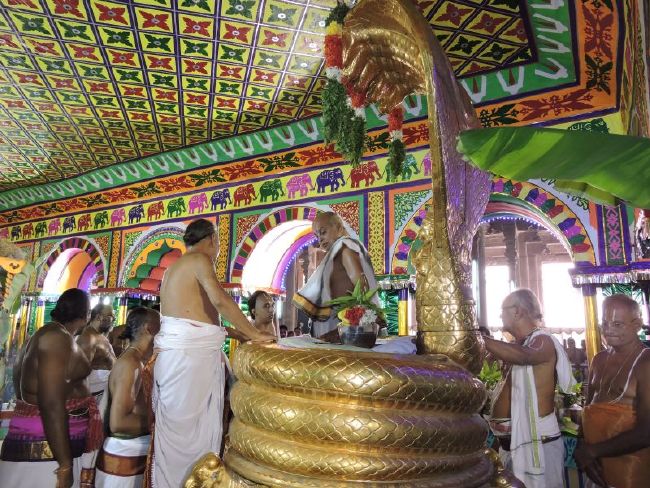 Srirangam 11 Gopurams and 43 Sannadhi Samprokshanam 2015 11