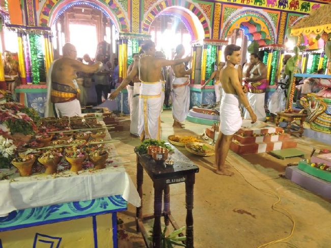 Srirangam 11 Gopurams and 43 Sannadhi Samprokshanam 2015 13
