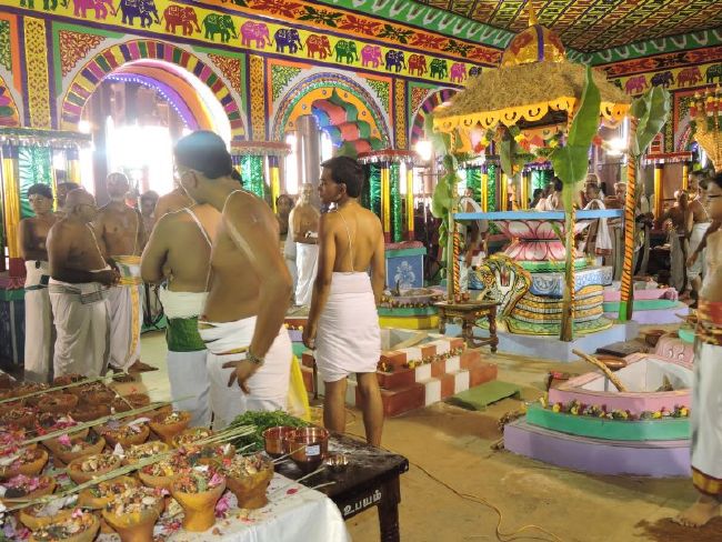 Srirangam 11 Gopurams and 43 Sannadhi Samprokshanam 2015 14