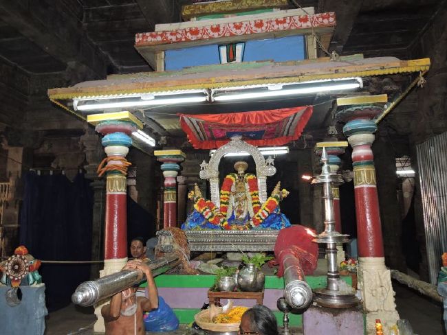 Srirangam 11 Gopurams and 43 Sannadhi Samprokshanam 2015 21