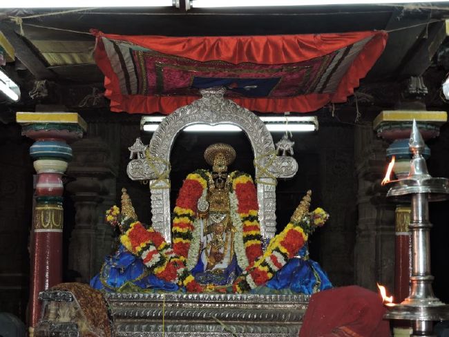 Srirangam 11 Gopurams and 43 Sannadhi Samprokshanam 2015 23