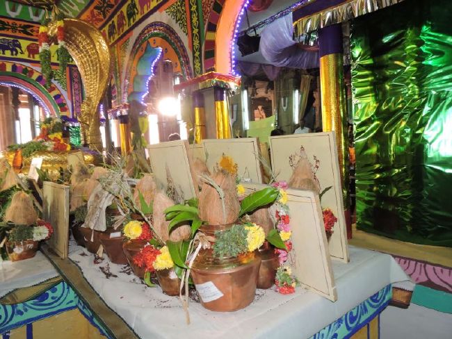 Srirangam 11 Gopurams and 43 Sannadhi Samprokshanam 2015 24