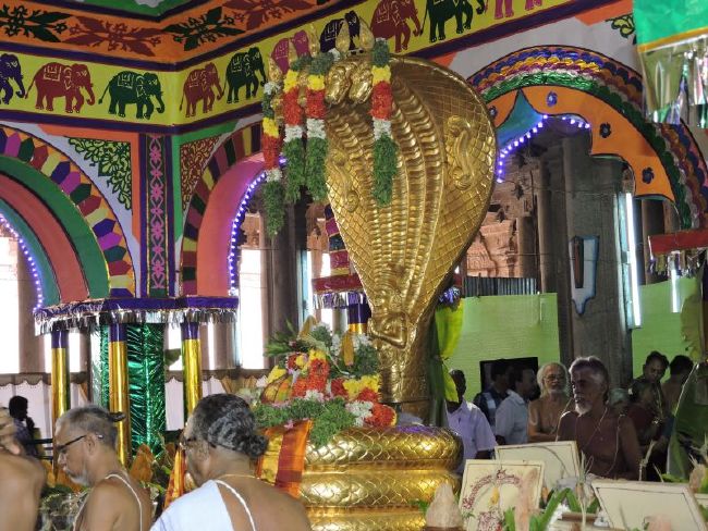 Srirangam 11 Gopurams and 43 Sannadhi Samprokshanam 2015 25