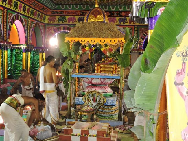 Srirangam 11 Gopurams and 43 Sannadhi Samprokshanam 2015 30