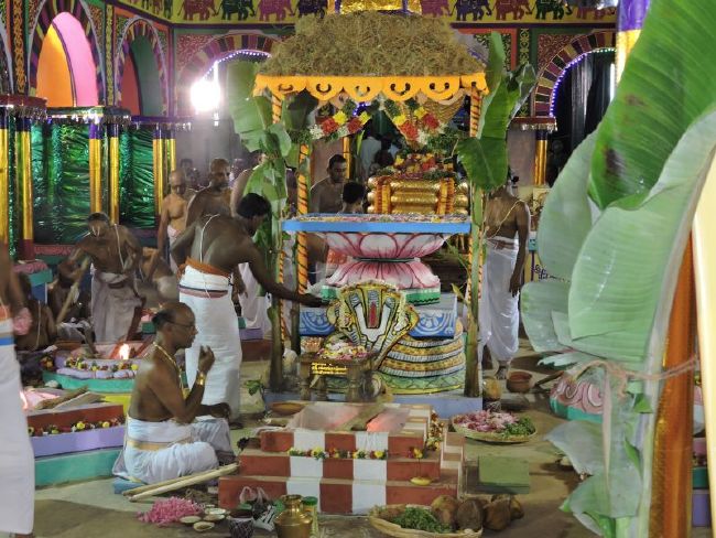 Srirangam 11 Gopurams and 43 Sannadhi Samprokshanam 2015 31