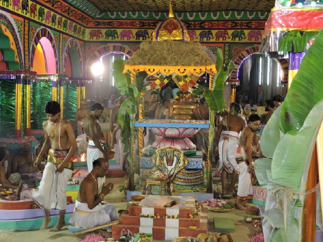 Srirangam 11 Gopurams and 43 Sannadhi Samprokshanam 2015 33