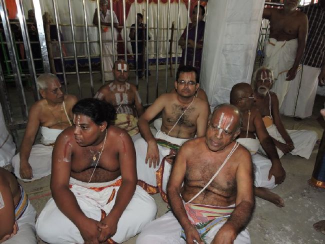 Srirangam 11 Gopurams and 43 Sannadhi Samprokshanam 2015 35