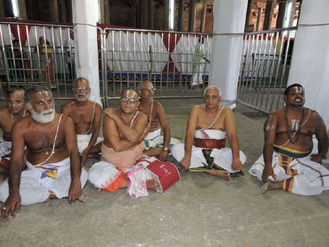 Srirangam 11 Gopurams and 43 Sannadhi Samprokshanam 2015 37