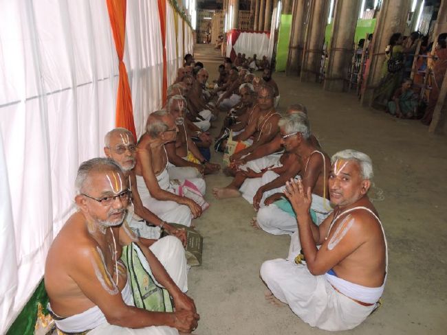 Srirangam 11 Gopurams and 43 Sannadhi Samprokshanam 2015 41