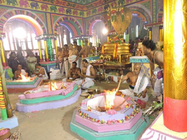 Srirangam 11 Gopurams and 43 Sannadhi Samprokshanam 2015 48