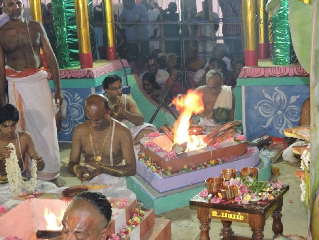 Srirangam 11 Gopurams and 43 Sannadhi Samprokshanam 2015 51