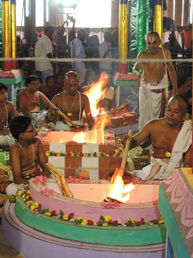Srirangam 11 Gopurams and 43 Sannadhi Samprokshanam 2015 53