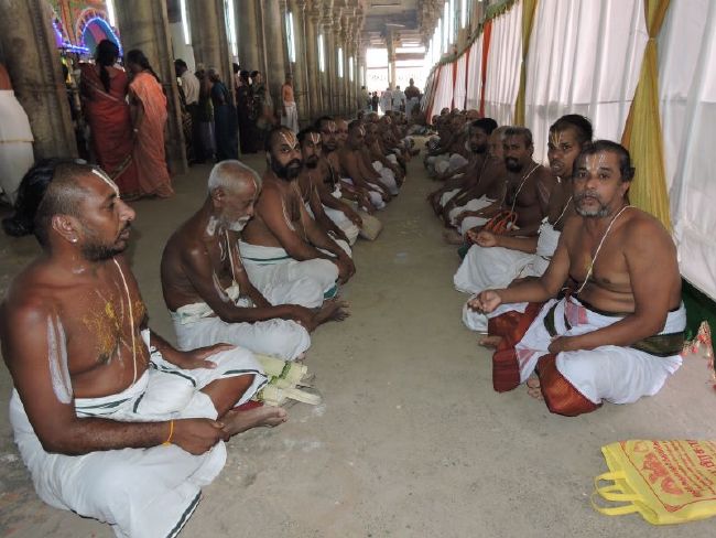 Srirangam 11 Gopurams and 43 Sannadhi Samprokshanam 2015 55
